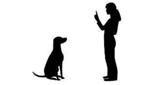 The 10 Commandments From a Dog’s Perspective