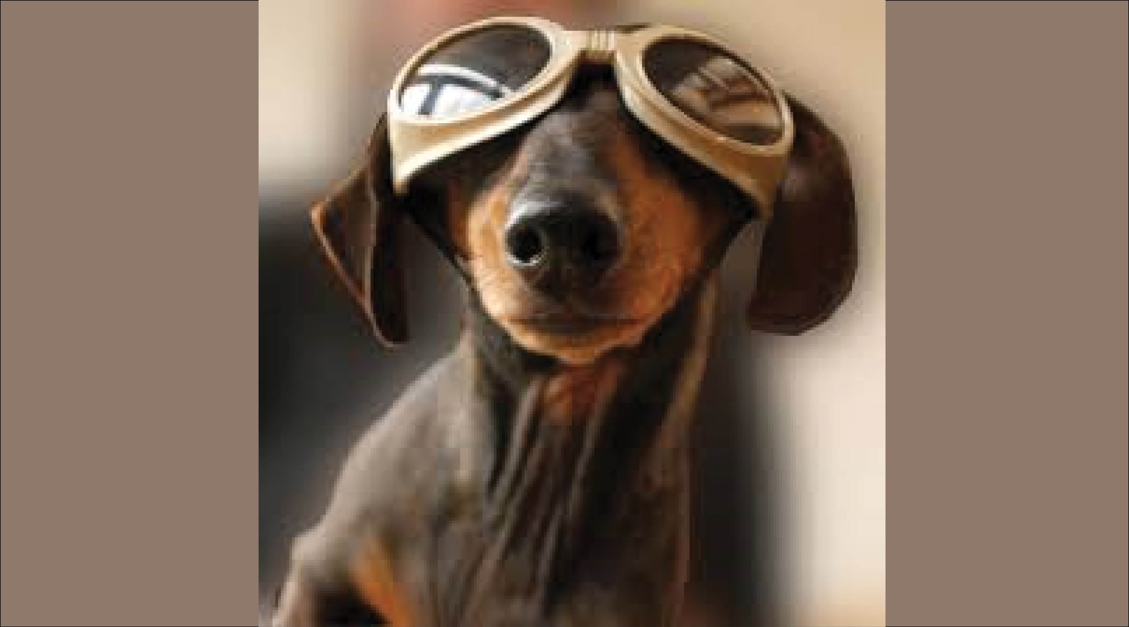 Get me off of this plane!!