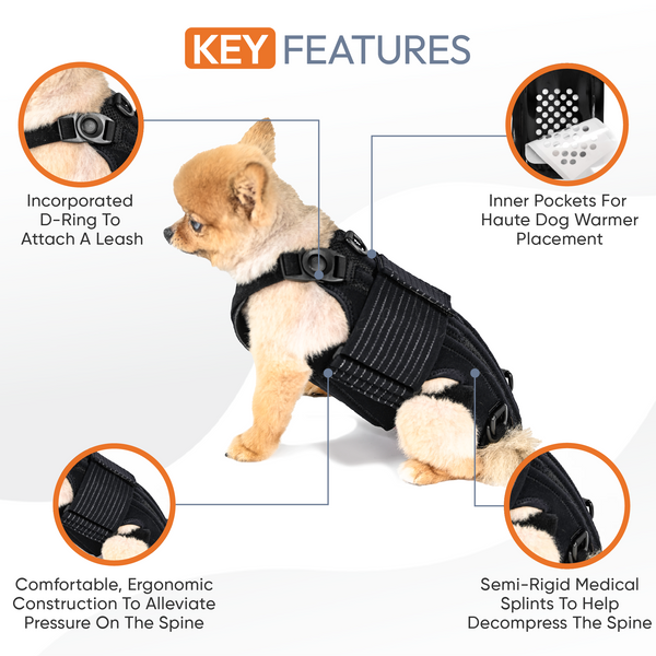 Haute L'il Back Bracer - with soothing heat warmers