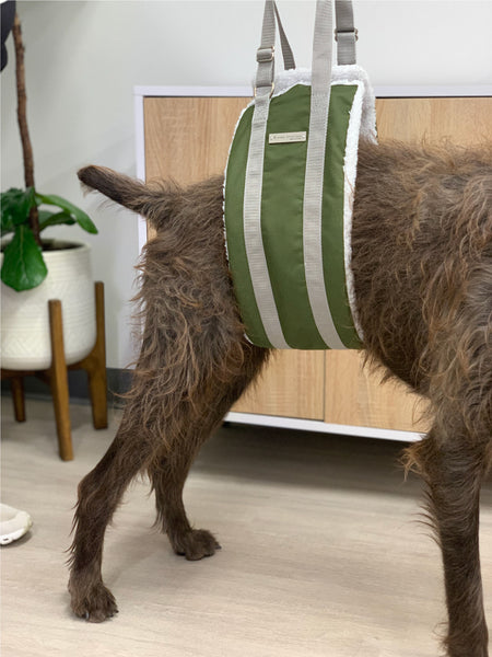 Dog Rear Lifting Sling - Plush Lifting Harness for Dog Rehab, Rear Leg Support and Spine Support