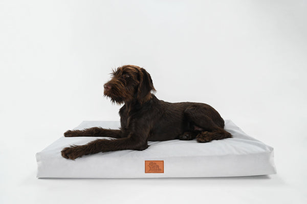 EMbed Drift Pet Bed