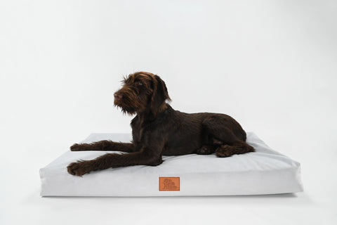 EMbed Drift Pet Bed