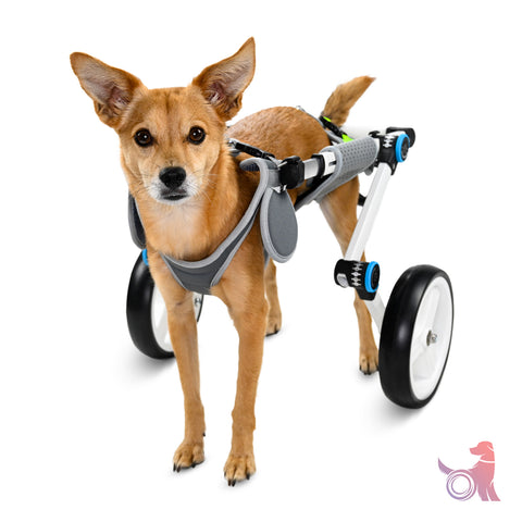 easy light-weight wheelchair for small dogs