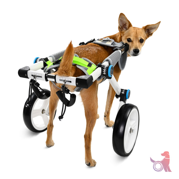 rear wheelchair for dogs