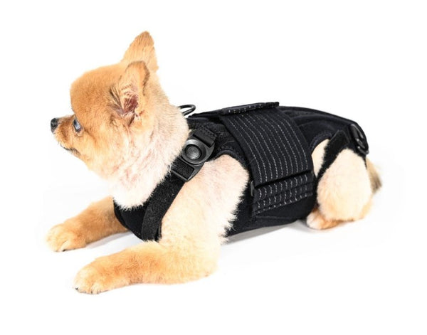 ivdd brace for dogs
