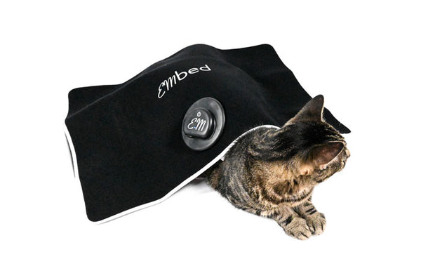 Cat Relaxing with the EMbed Blanket While Using the EMpower Device