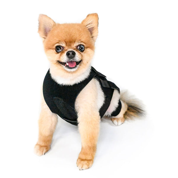 L'il Back Bracer - Dog Back Brace