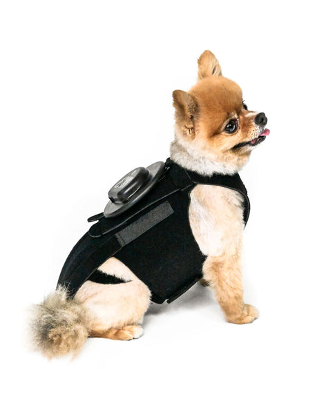 EMbrace L'il Back System (EMpower + L'il Back Bracer)