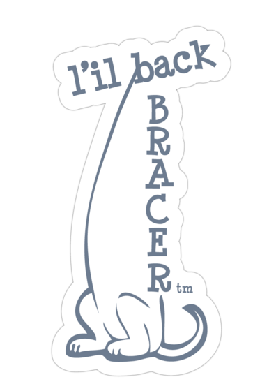 L'il Back Bracer - The Original Back Brace Co. - IVDD Dog Back Braces