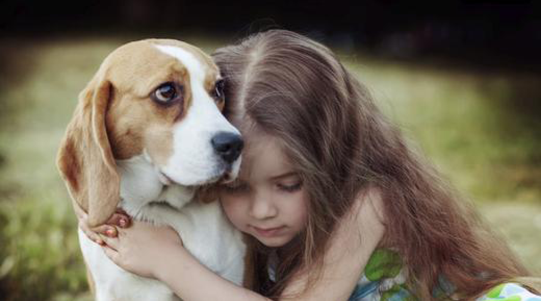 5 Ways To Show Your Dogs You Love Them