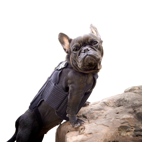 Haute L'il Back Bracer - with soothing heat warmers