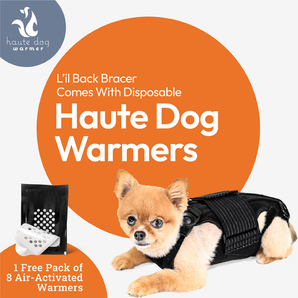 Haute L'il Back Bracer - with soothing heat warmers
