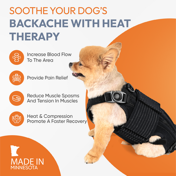 Haute L'il Back Bracer - with soothing heat warmers