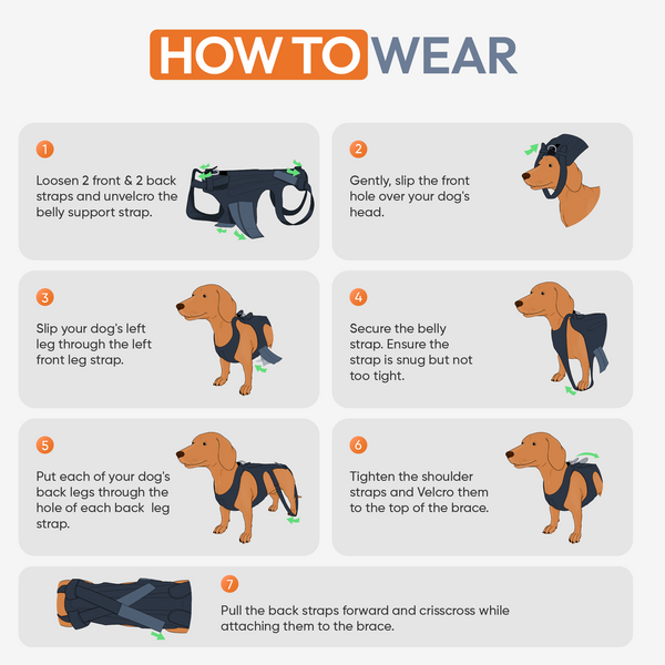 Haute L'il Back Bracer - with soothing heat warmers