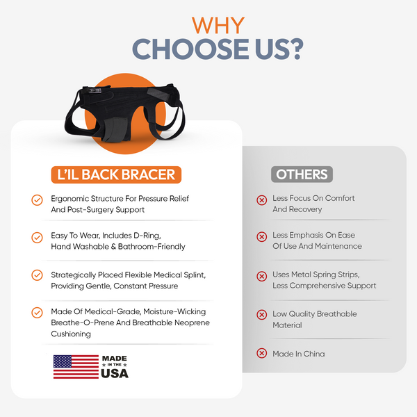 L'il Back Bracer - Dog Back Brace