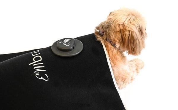 dog pain relieving blanket