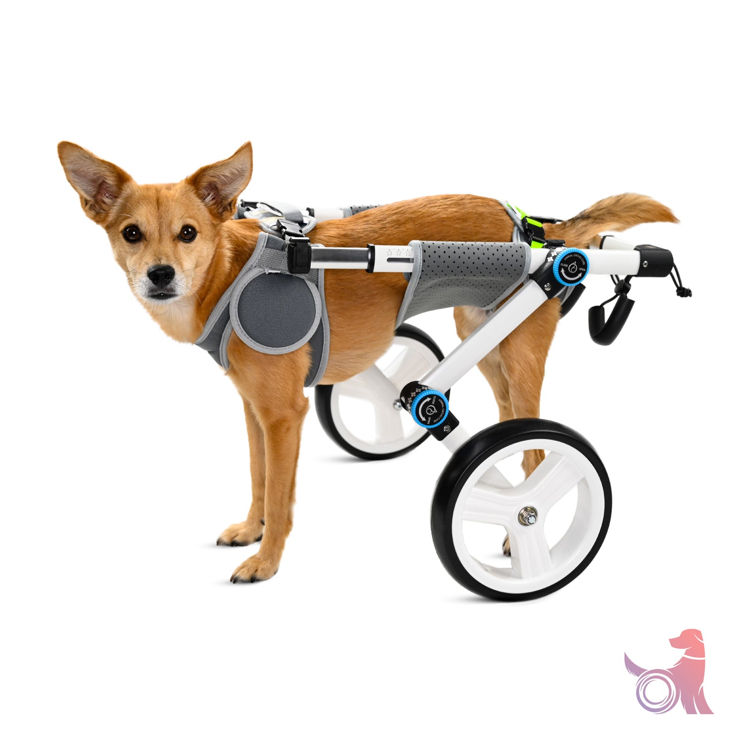 Haute Wheels Dog Wheelchair Lil Back Bracer - Main Image