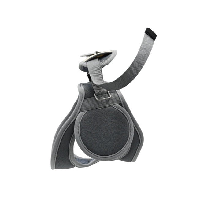 Front Harness Haute Wheels Pet Wheelchair Lil Back Bracer