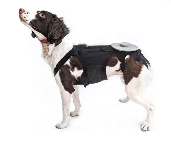 EMpower Device System - EM Technology