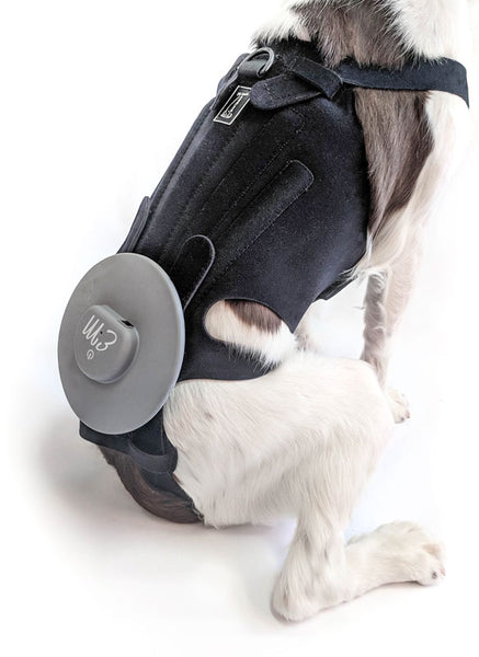 EMpower Device System - EM Technology