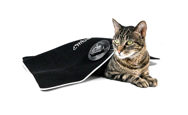 EMbed Relief System - PEMF Therapy Session with the EMpower Device