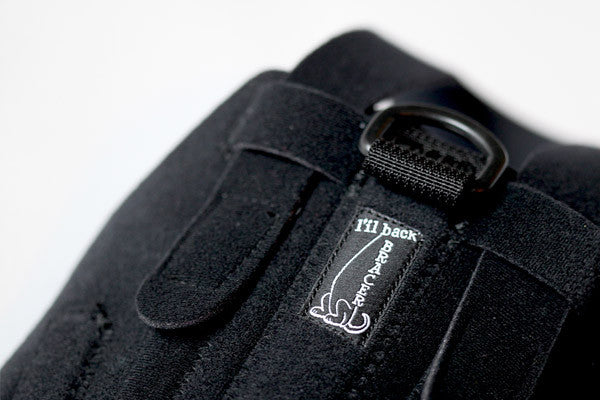 Dog Back Brace for Dachshunds