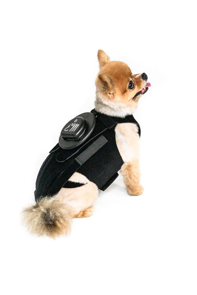 EMbrace L'il Back System (EMpower + L'il Back Bracer)