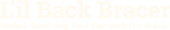 Lil Back Bracer